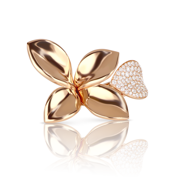 Rawajeh Luxury - Pasquale Bruni 01